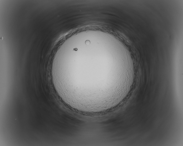 X0000084580824200703231841