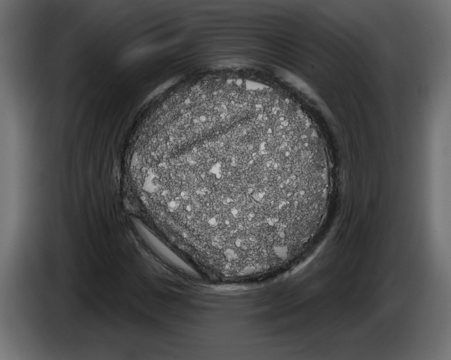X0000084580825200703231841