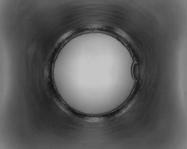 X0000084580826200703231841