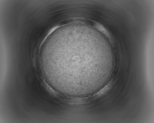 X0000084580828200703231841