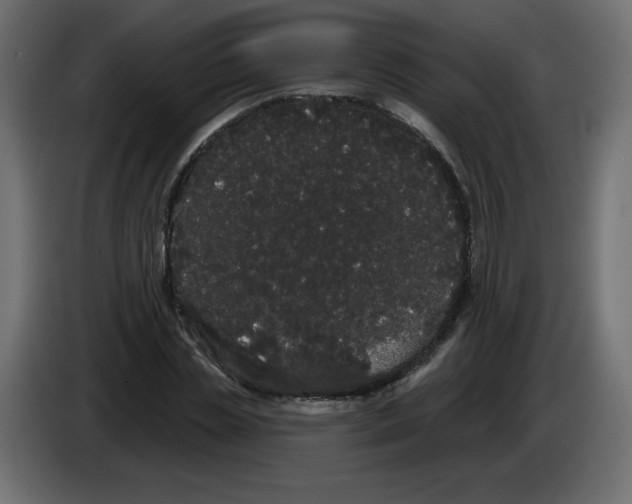 X0000084580829200703231841