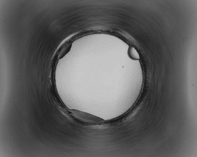 X0000084580830200703231841