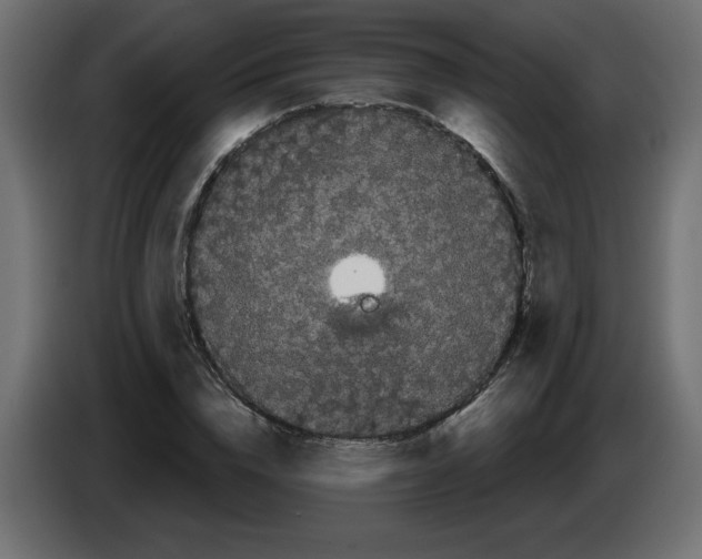 X0000084580832200703231841