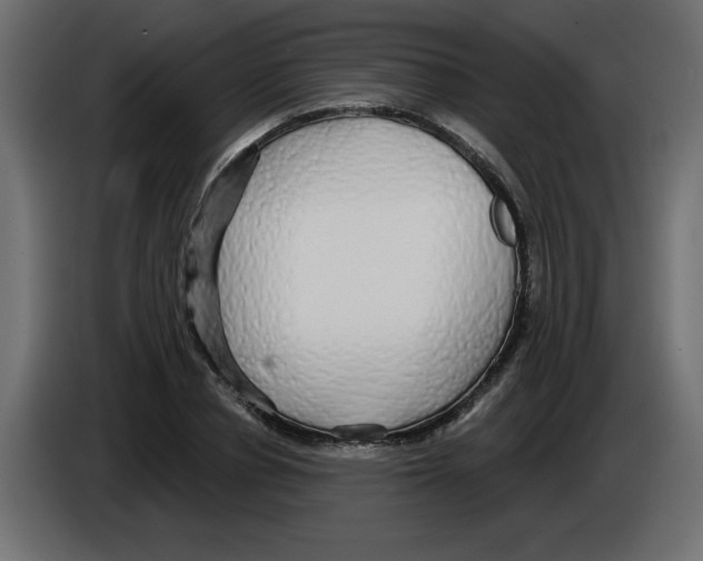X0000084580834200703231841
