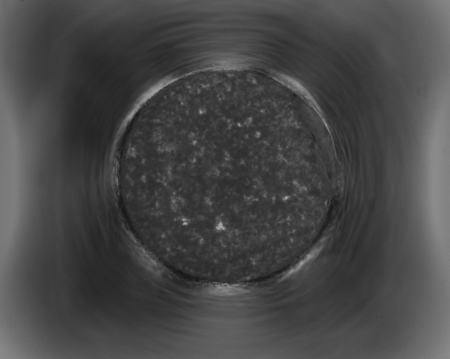 X0000084580835200703231841