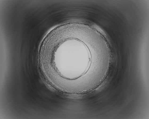 X0000084580836200703231841