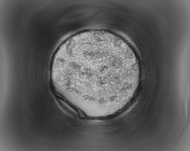 X0000084580837200703231841