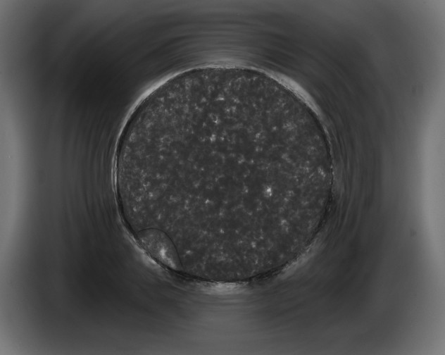 X0000084580839200703231841