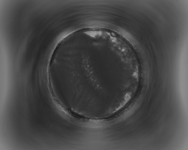 X0000084580840200703231841