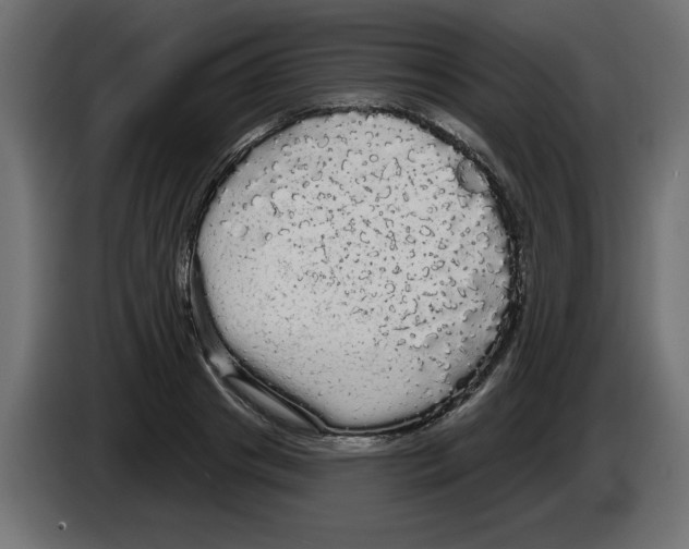 X0000084580841200703231841