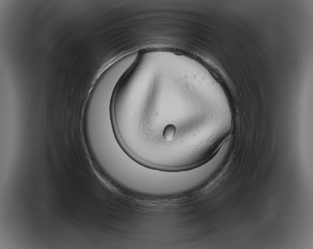 X0000084580842200703231841