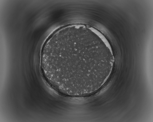 X0000084580844200703231841