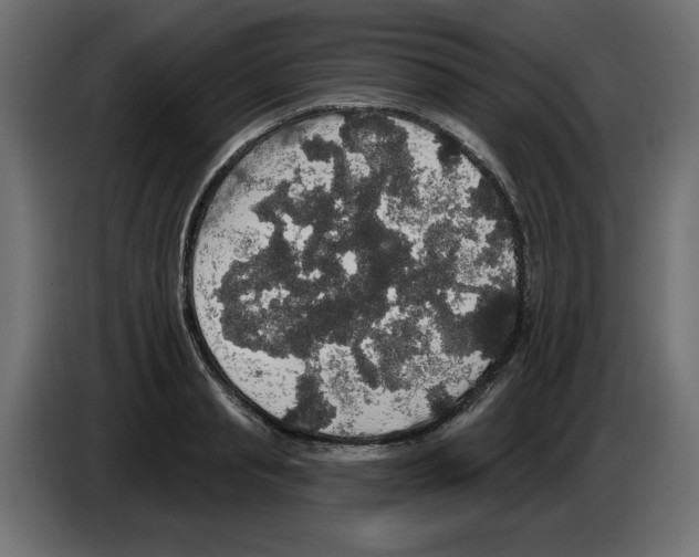 X0000084580845200703231841