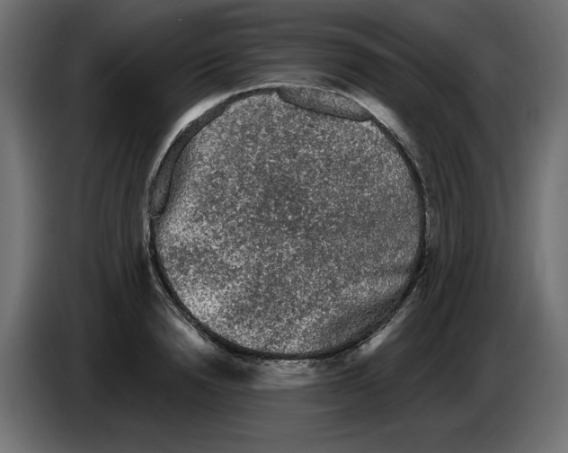 X0000084580846200703231842