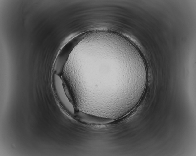 X0000084580850200703231842