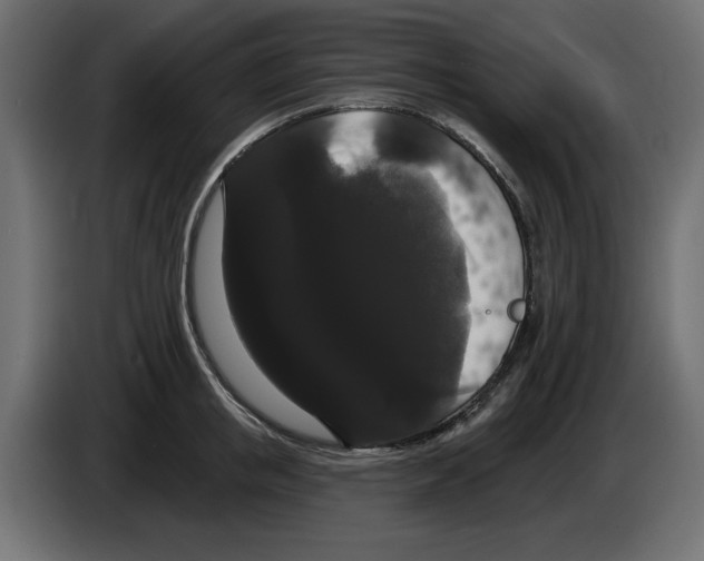 X0000084580853200703231842