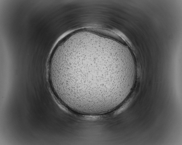 X0000084580854200703231842