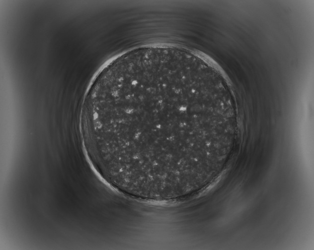 X0000084580855200703231842