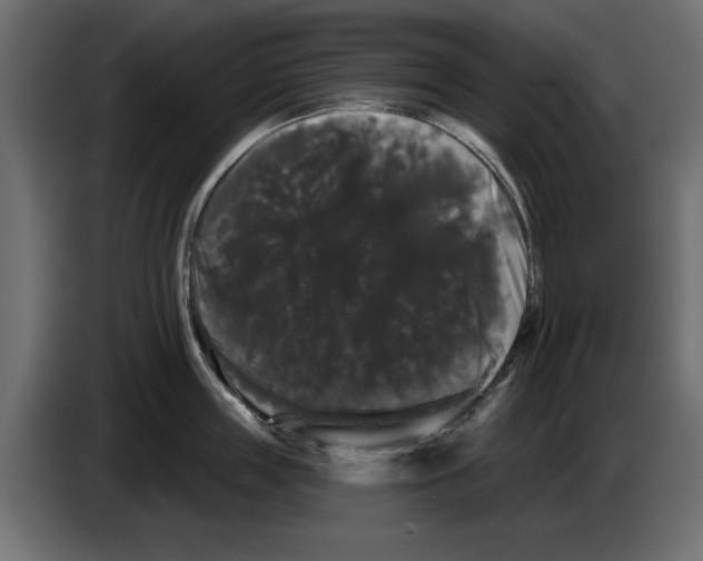 X0000084580859200703231842