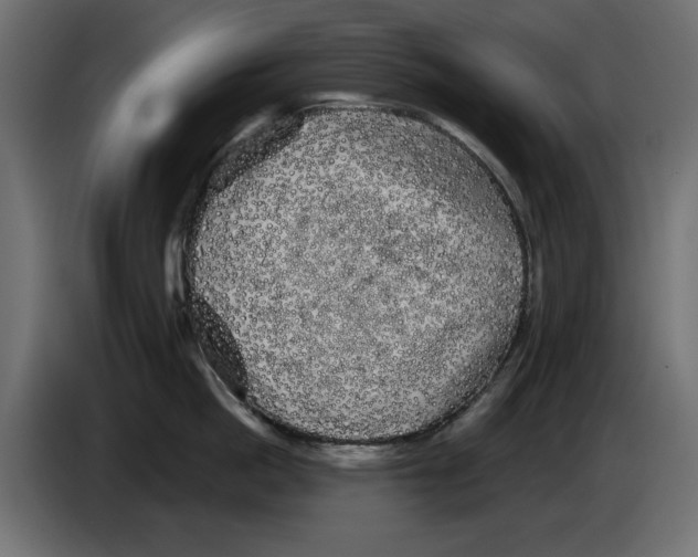 X0000084580862200703231842