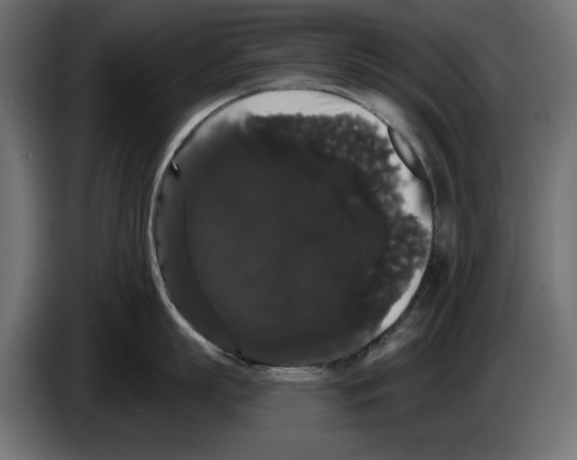 X0000084580863200703231842