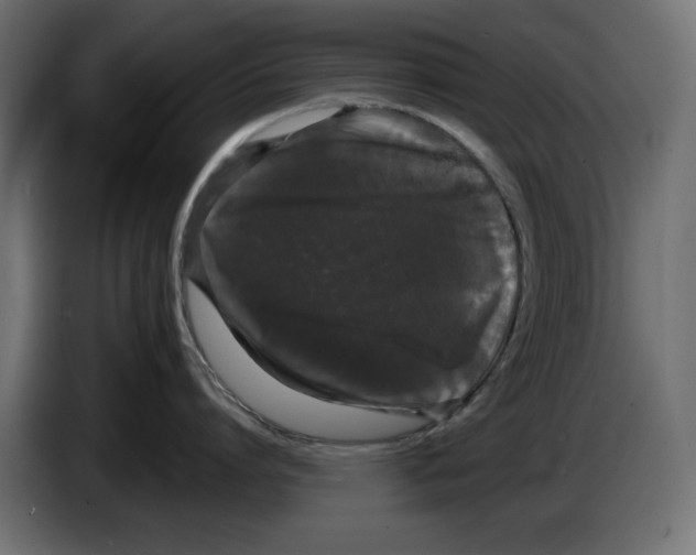 X0000084580864200703231842