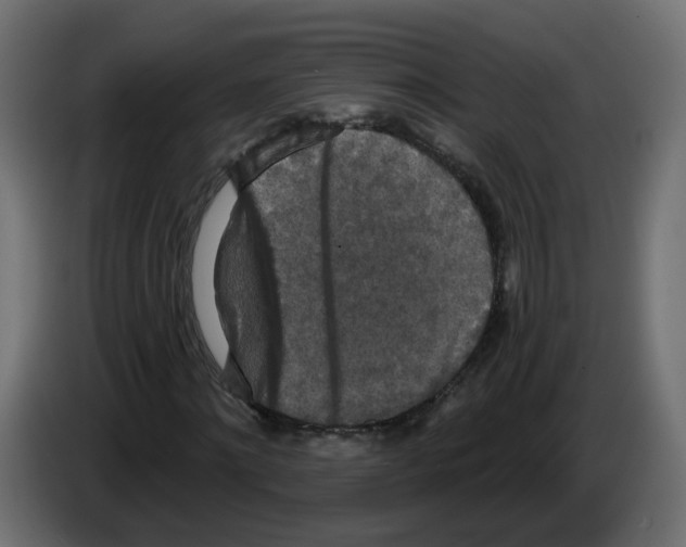 X0000084580868200703231841