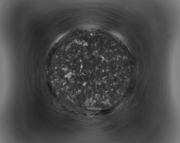 X0000084580871200703231841