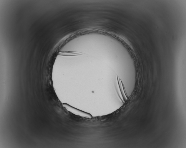 X0000084580872200703231841