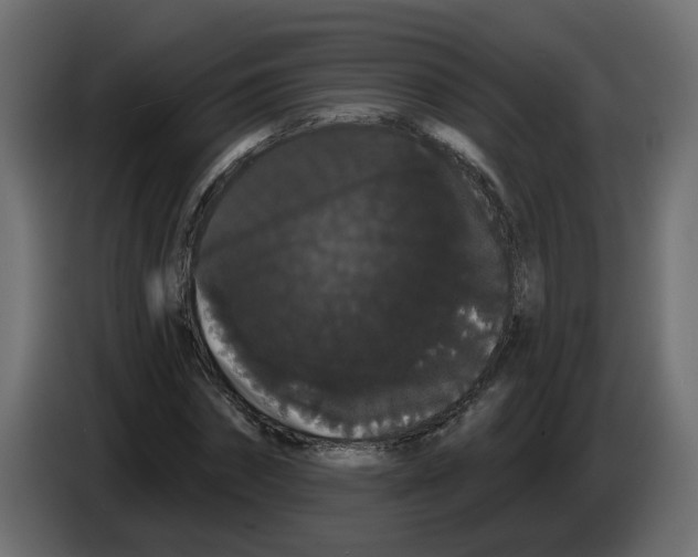 X0000084580874200703231841
