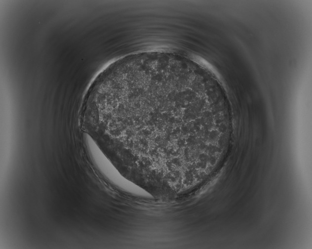 X0000084580875200703231841