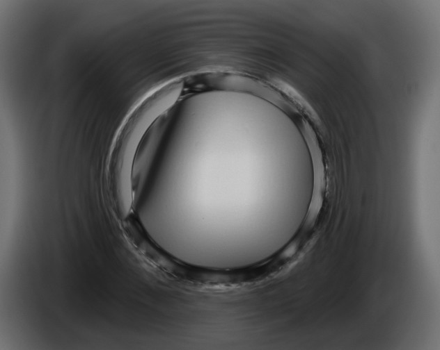 X0000084580876200703231841