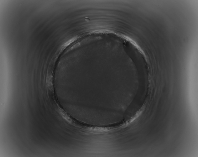 X0000084580881200703231841