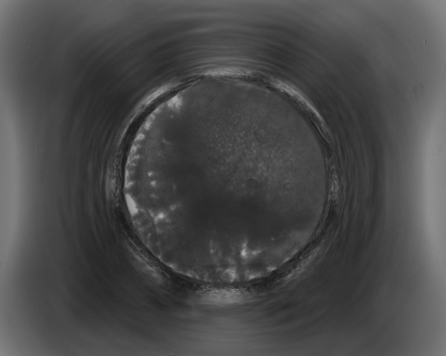 X0000084580882200703231841