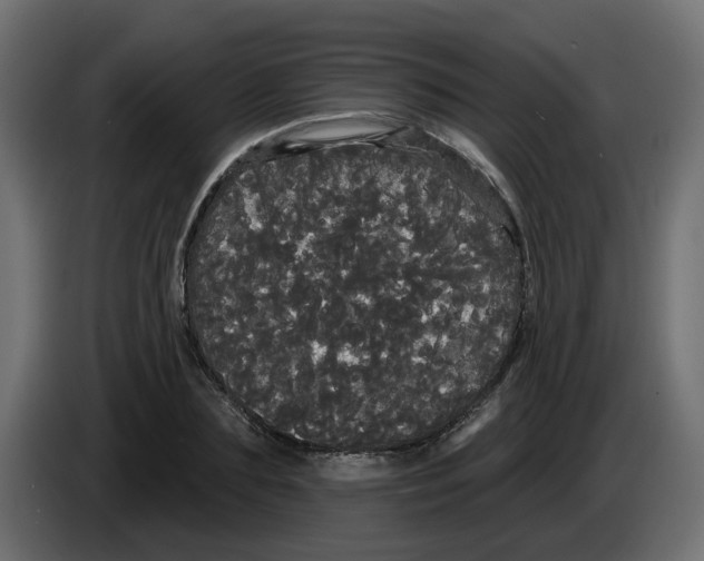 X0000084580883200703231841