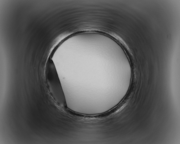 X0000084580885200703231841