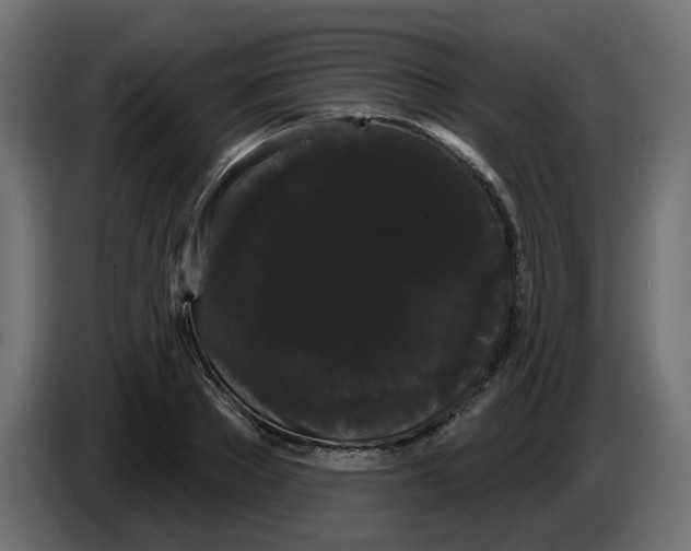 X0000084580889200703231841