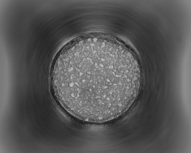 X0000084580890200703231841