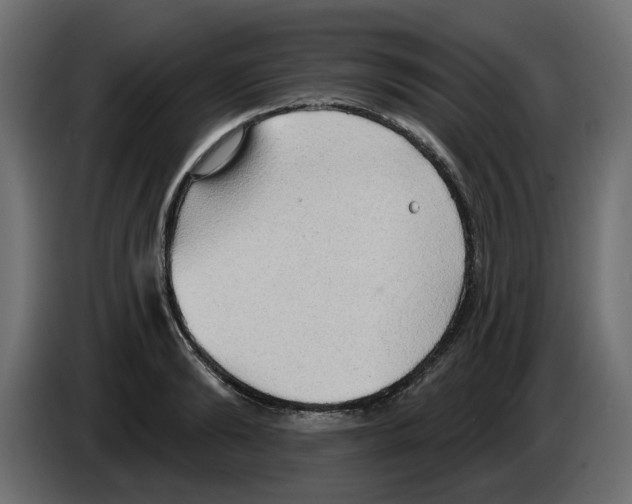 X0000084580894200703231841