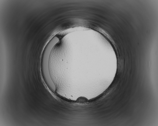 X0000084580898200703231841