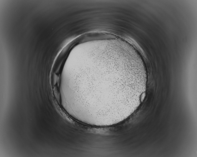 X0000084580900200703231841