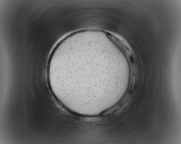 X0000084580904200703231840