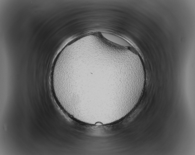 X0000084580906200703231840