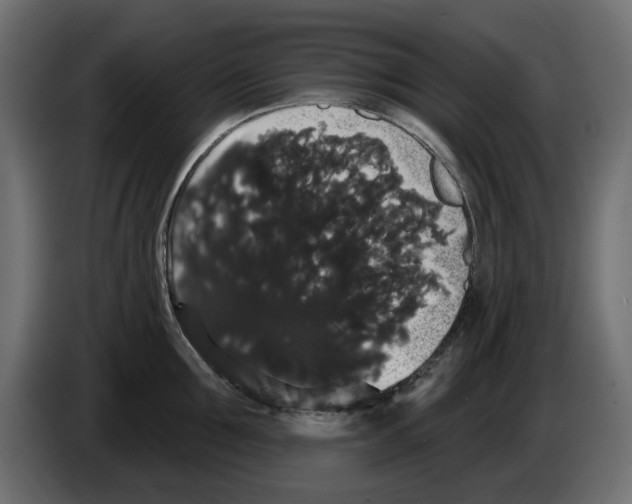 X0000084580907200703231840