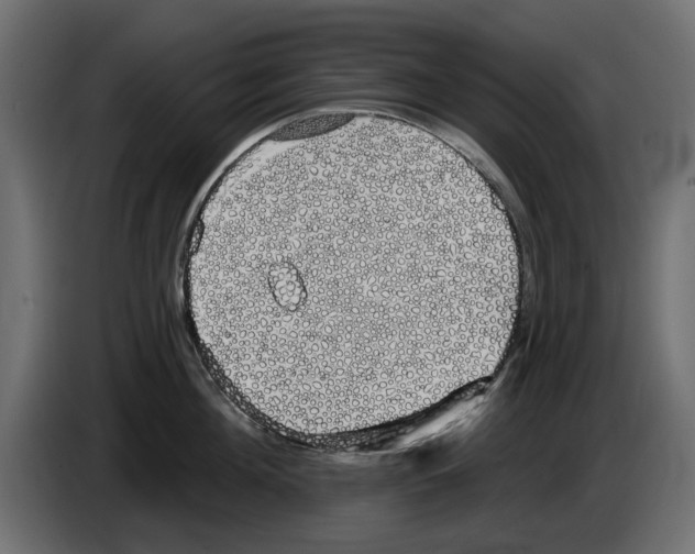 X0000084580908200703231840