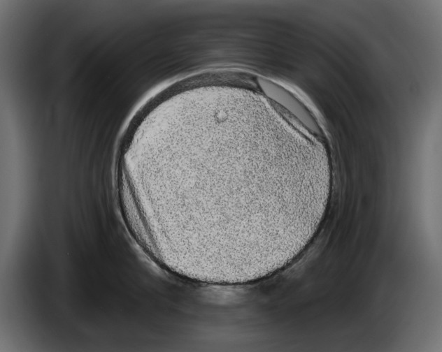X0000084580910200703231840