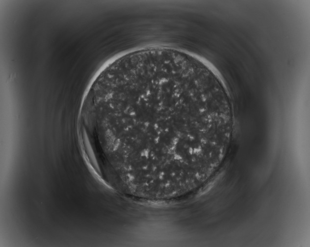 X0000084580911200703231840