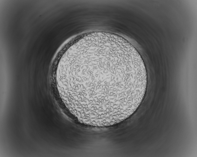 X0000084580912200703231840