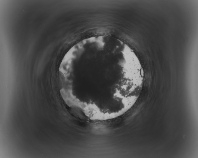 X0000084580913200703231840