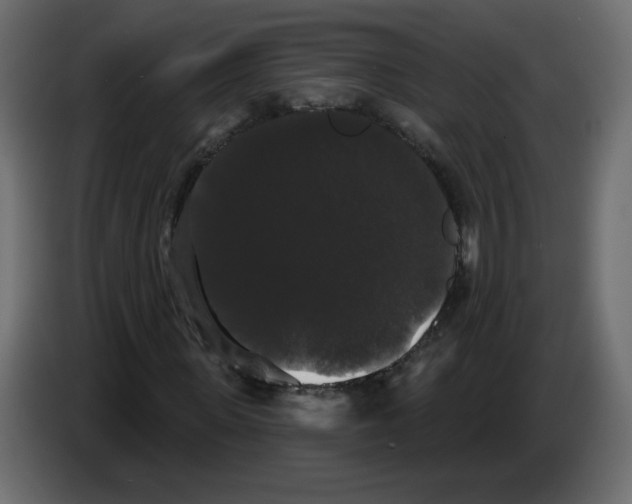 X0000084580915200703231840